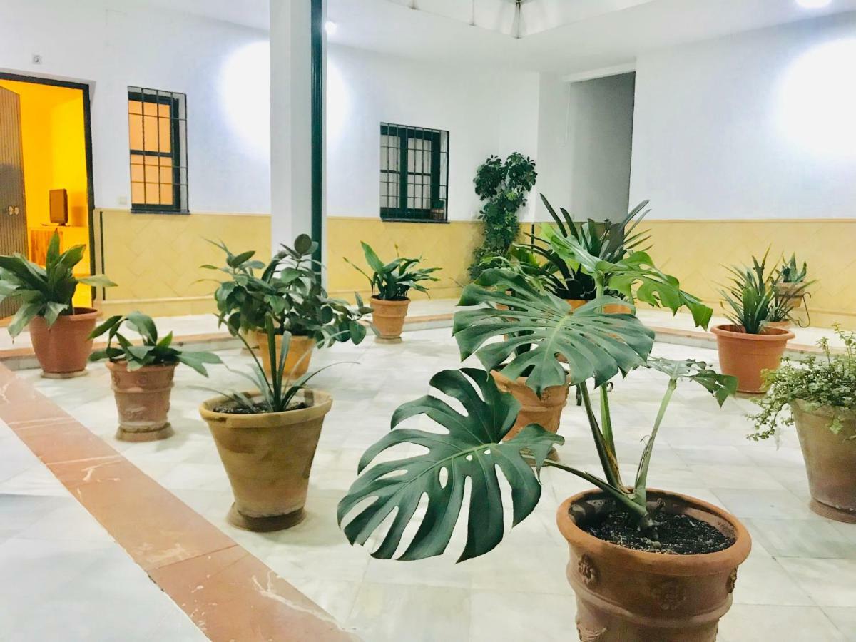 Los Patios De La Juderia セビリア エクステリア 写真