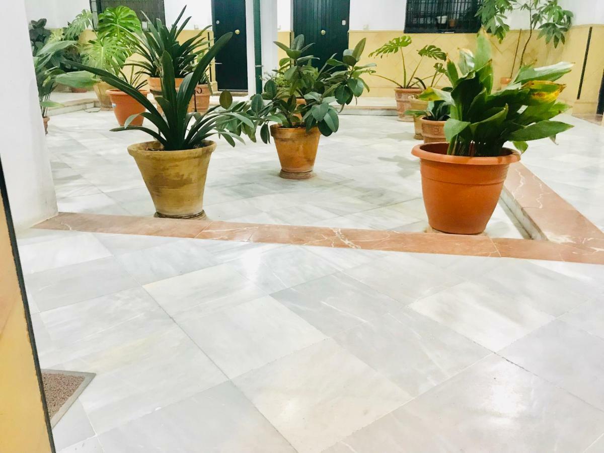 Los Patios De La Juderia セビリア エクステリア 写真
